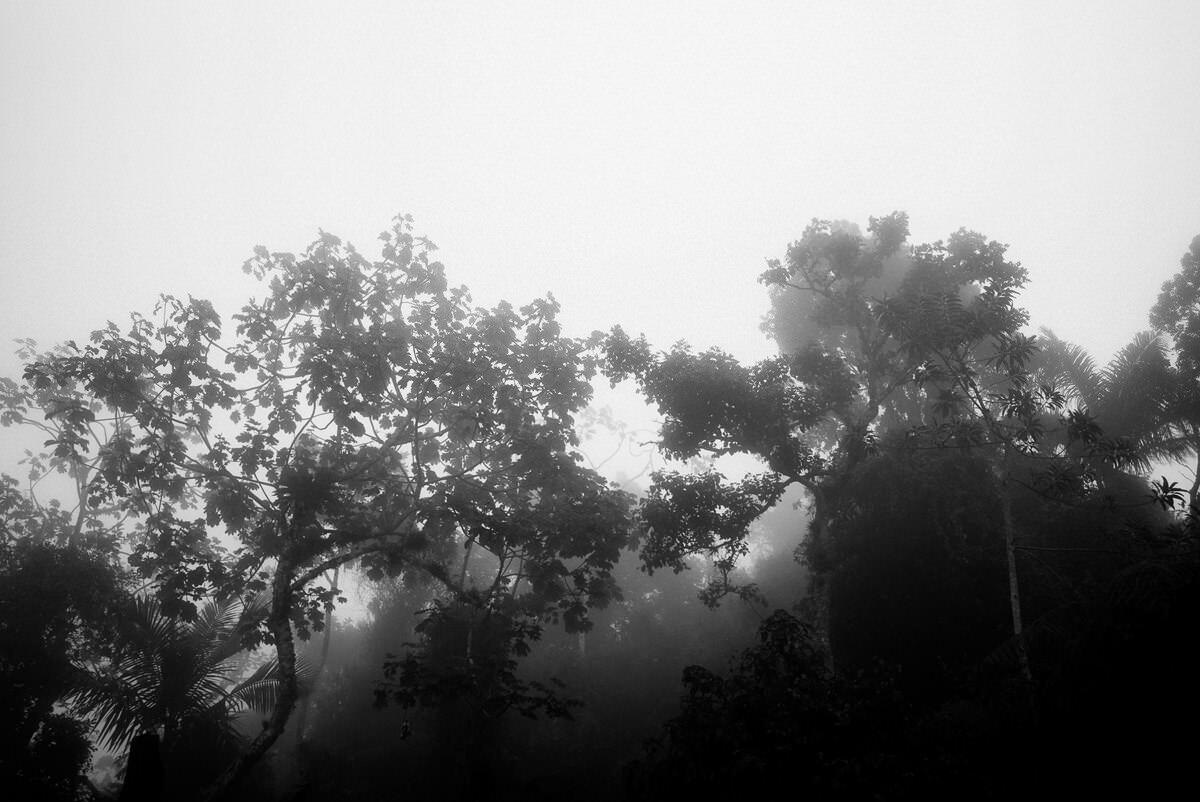 001 fidel castro versteck sierra maestra - Tracing Fidel Castro’s Path in the Sierra Maestra