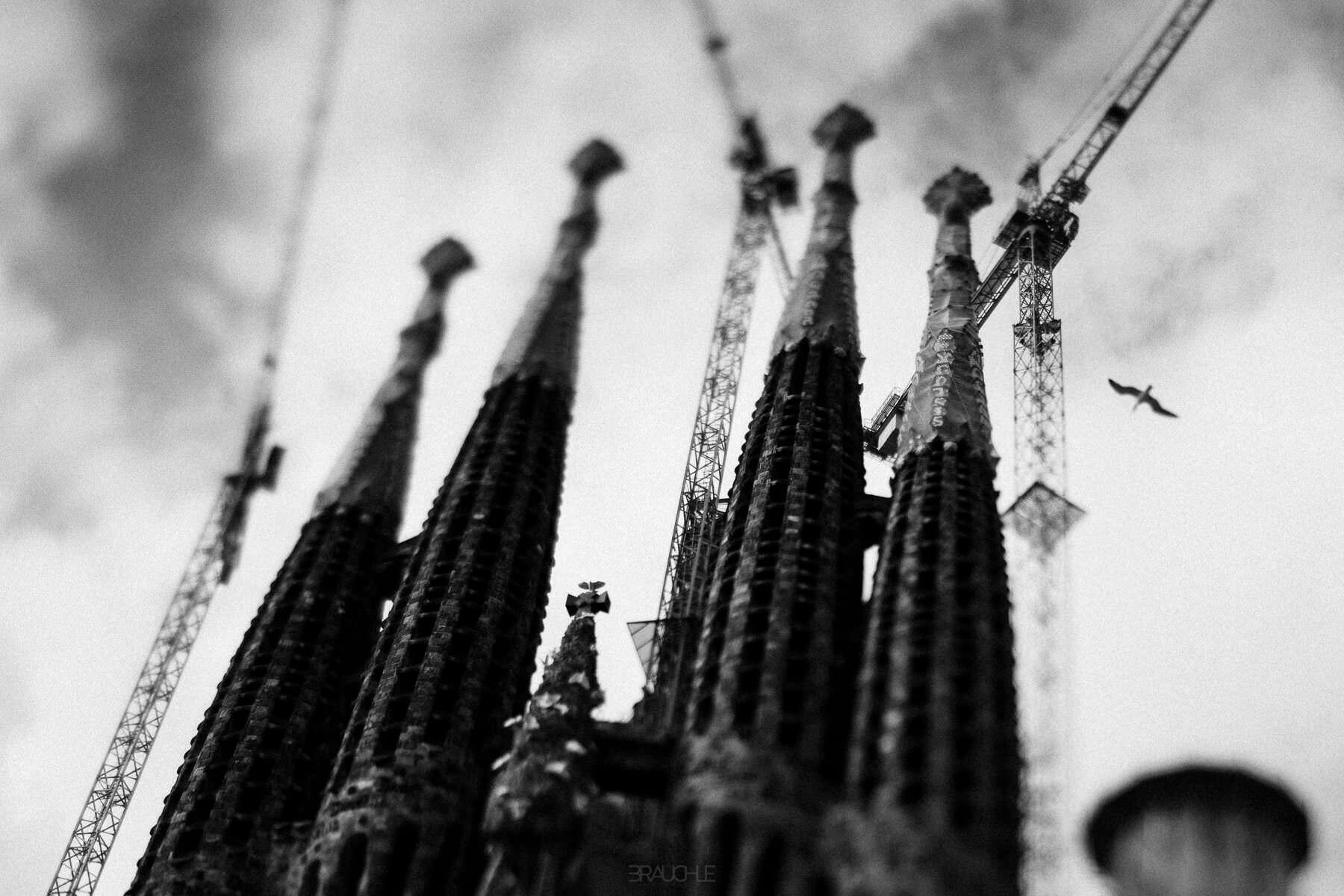 0013 barcelona la sagrada familia church gaudi - Barcelona - Sagrada Familia 0013 barcelona la sagrada familia church gaudi - Barcelona - Sagrada Familia