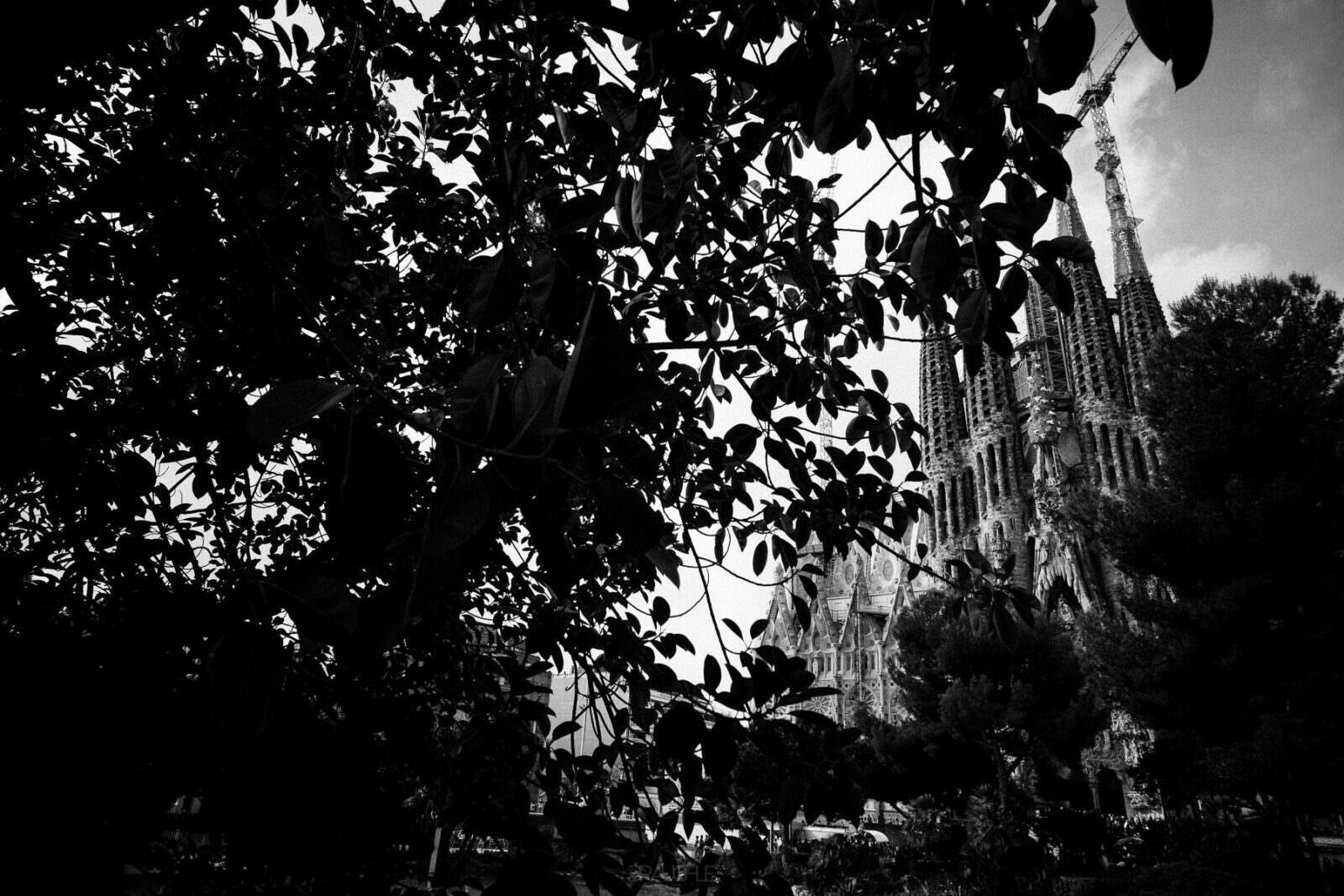 0014 barcelona la sagrada familia church gaudi - Barcelona - Sagrada Familia 0014 barcelona la sagrada familia church gaudi - Barcelona - Sagrada Familia