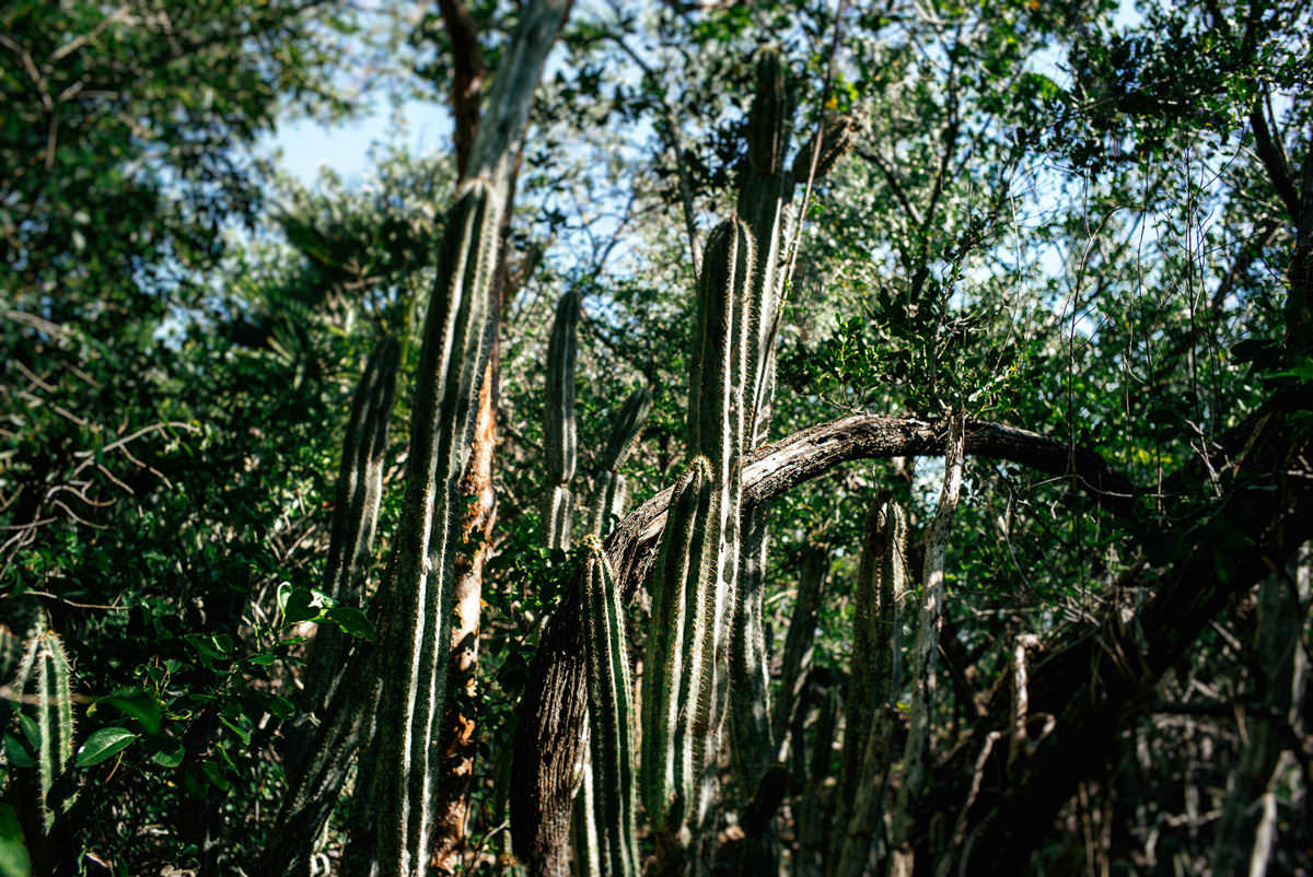 002 cayo santa maria cayo las brujas - Cayo Las Brujas and Cayo Santa Maria 002 cayo santa maria cayo las brujas - Cayo Las Brujas and Cayo Santa Maria