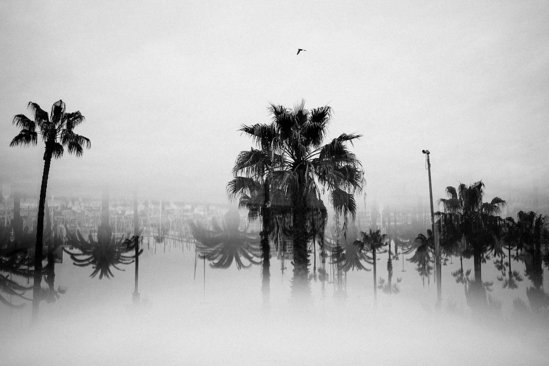 0023 barcelona harbour maremagnum mirador de colom - Port de Barcelona