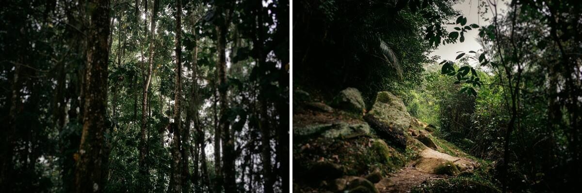 006 fidel castro versteck sierra maestra - Tracing Fidel Castro’s Path in the Sierra Maestra