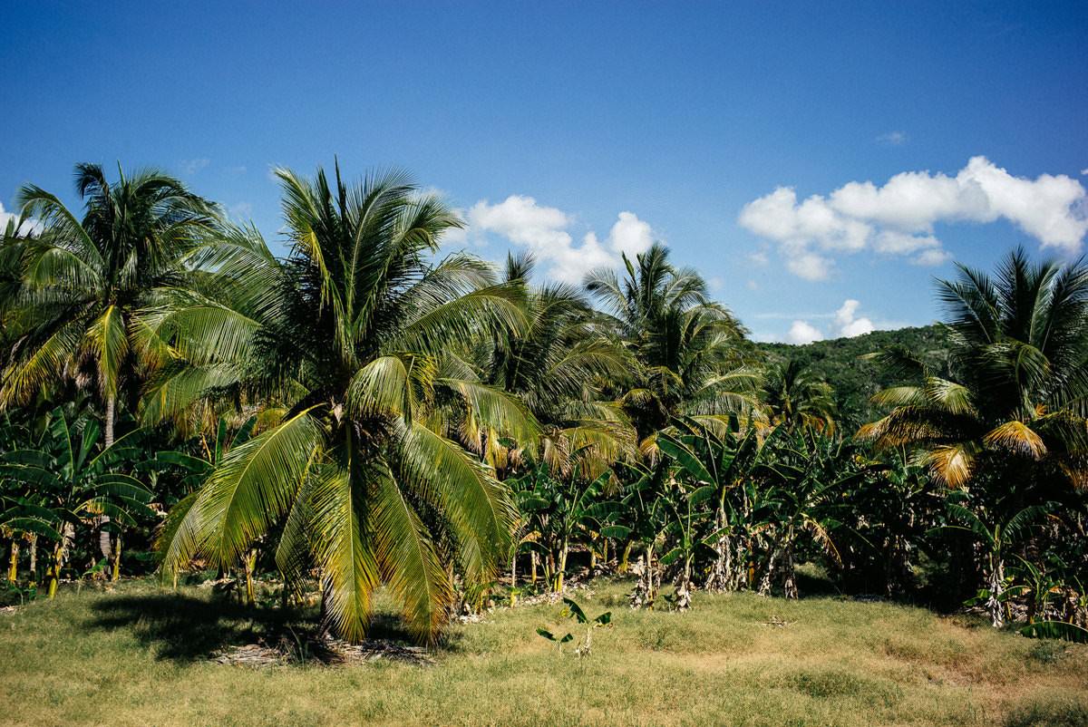 006 road santiago de cuba to pilon sierra maestra - Por la carretera rota de Santiago de Cuba a Pilón 006 road santiago de cuba to pilon sierra maestra - Por la carretera rota de Santiago de Cuba a Pilón
