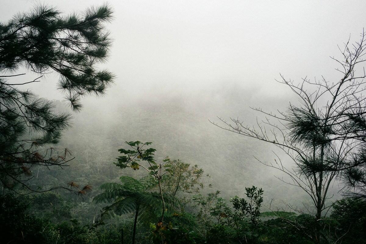 007 fidel castro versteck sierra maestra - Tracing Fidel Castro’s Path in the Sierra Maestra