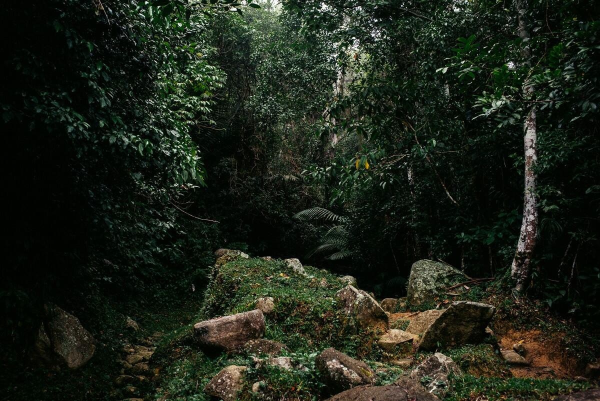 008 fidel castro versteck sierra maestra - Tracing Fidel Castro’s Path in the Sierra Maestra