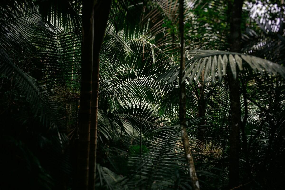 010 fidel castro versteck sierra maestra - Tracing Fidel Castro’s Path in the Sierra Maestra
