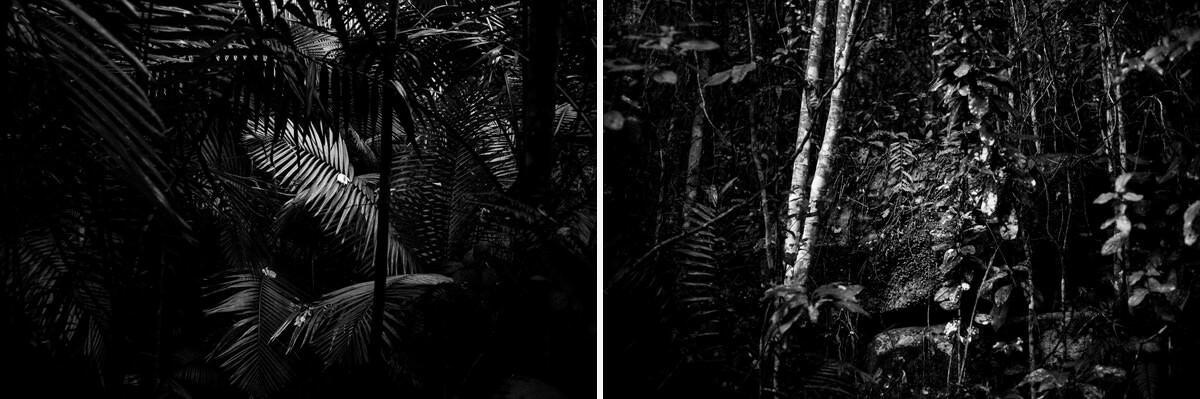 011 fidel castro versteck sierra maestra - Tracing Fidel Castro’s Path in the Sierra Maestra