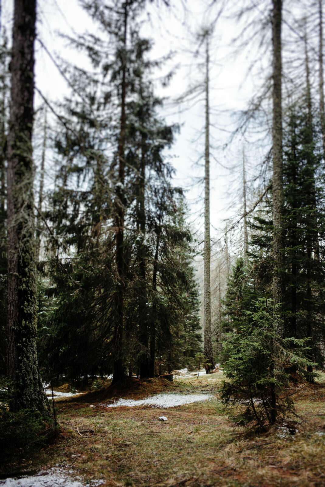 012 dolomiten wandern mai cortina dampezzo - Hiking in the Dolomites – Day 1