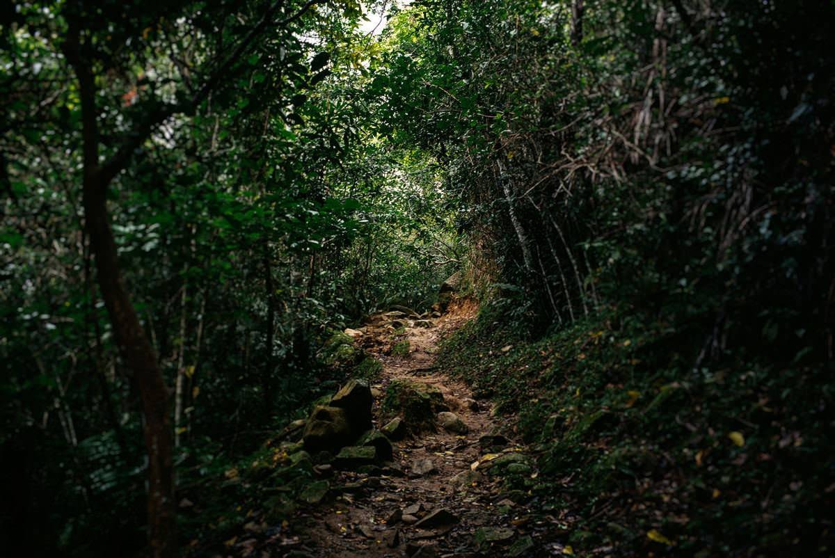 012 fidel castro versteck sierra maestra - Tracing Fidel Castro’s Path in the Sierra Maestra