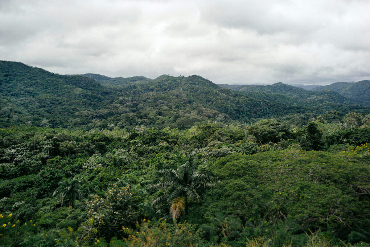 019 santa clara topes de collantes trinidad - A través de Topes de Collantes rumbo a Trinidad 019 santa clara topes de collantes trinidad - A través de Topes de Collantes rumbo a Trinidad