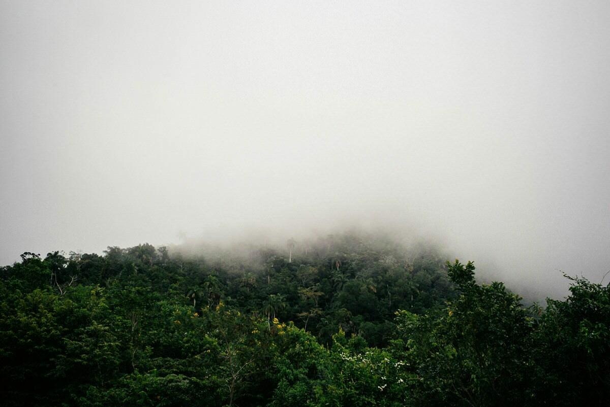 020 fidel castro versteck sierra maestra - Tracing Fidel Castro’s Path in the Sierra Maestra