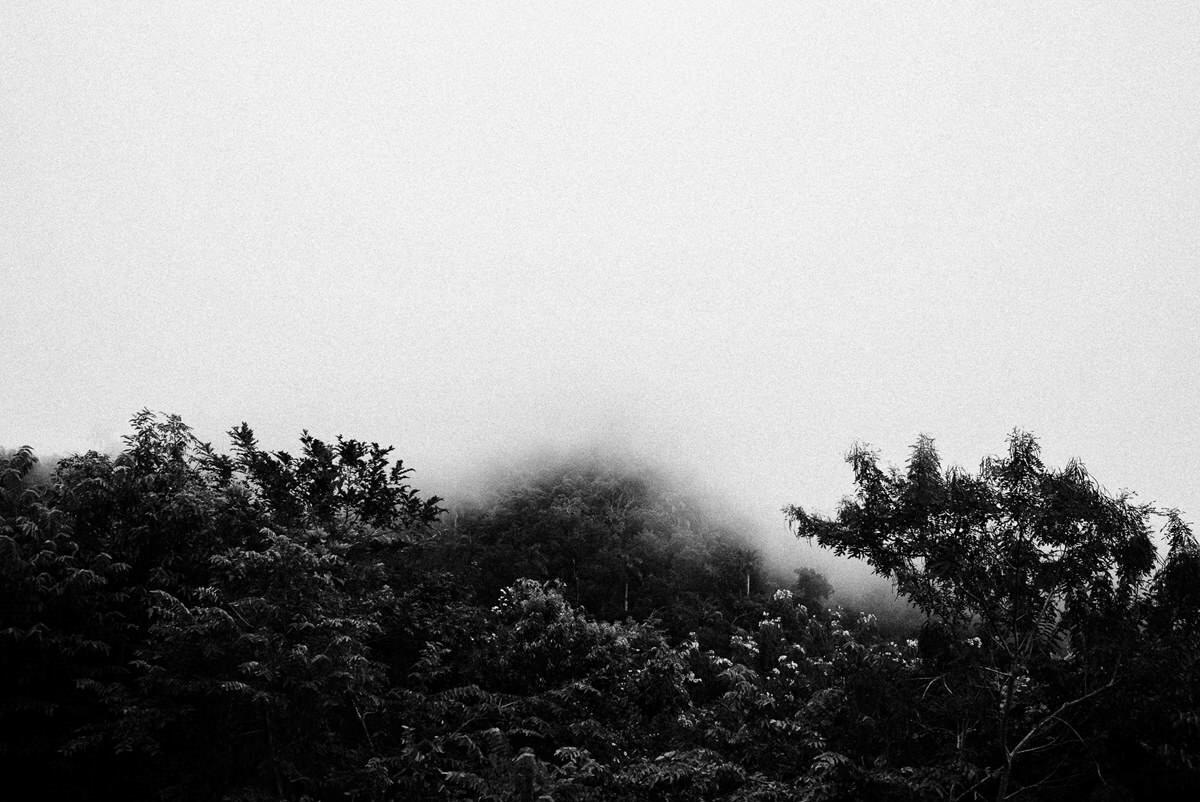 021 fidel castro versteck sierra maestra - Tracing Fidel Castro’s Path in the Sierra Maestra