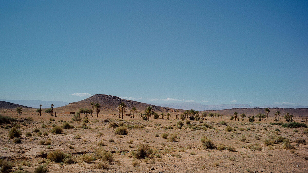 021 sahara desert sunset stars morocco - From the Atlas Mountains to the Sahara