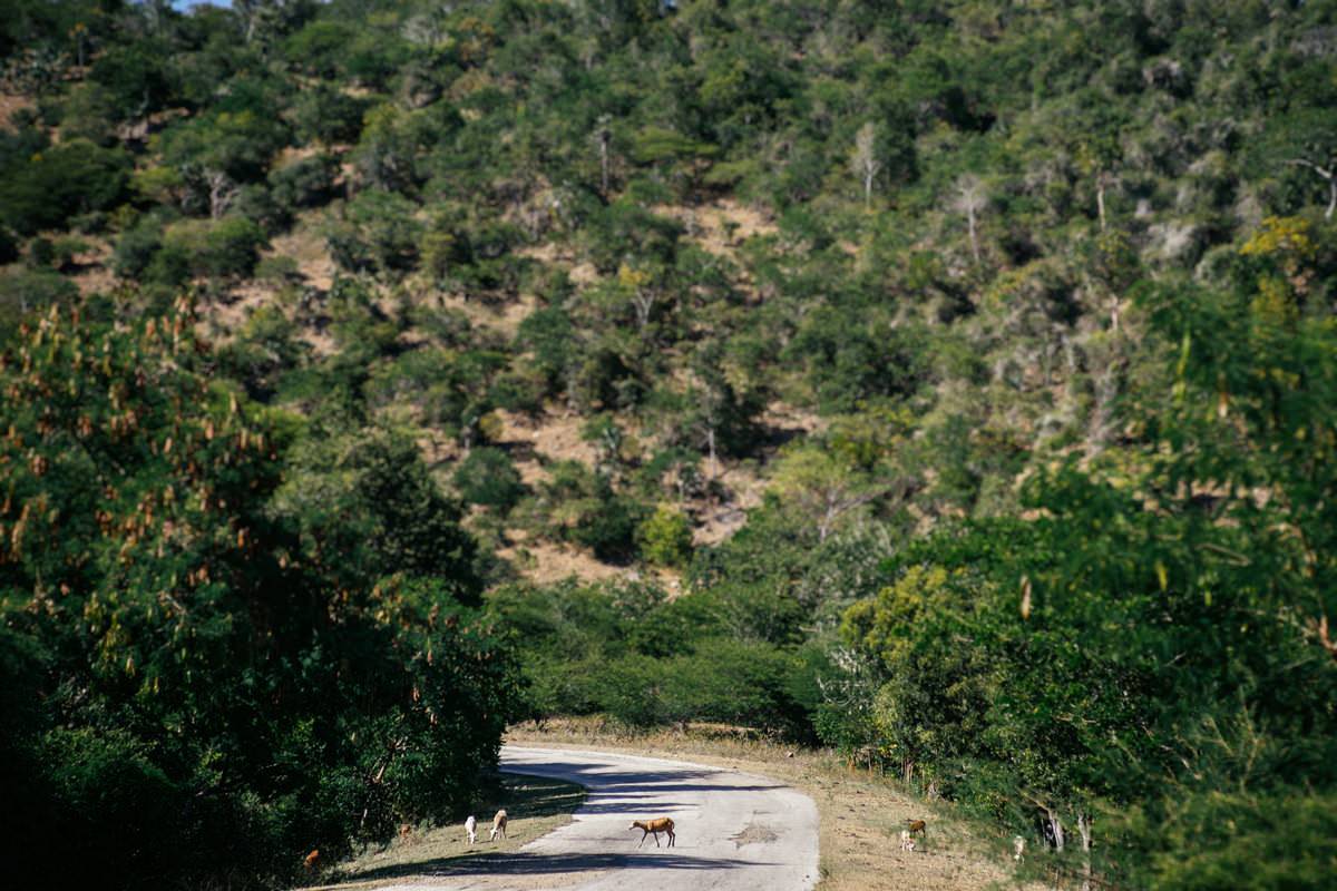 022 road santiago de cuba to pilon sierra maestra - Por la carretera rota de Santiago de Cuba a Pilón 022 road santiago de cuba to pilon sierra maestra - Por la carretera rota de Santiago de Cuba a Pilón