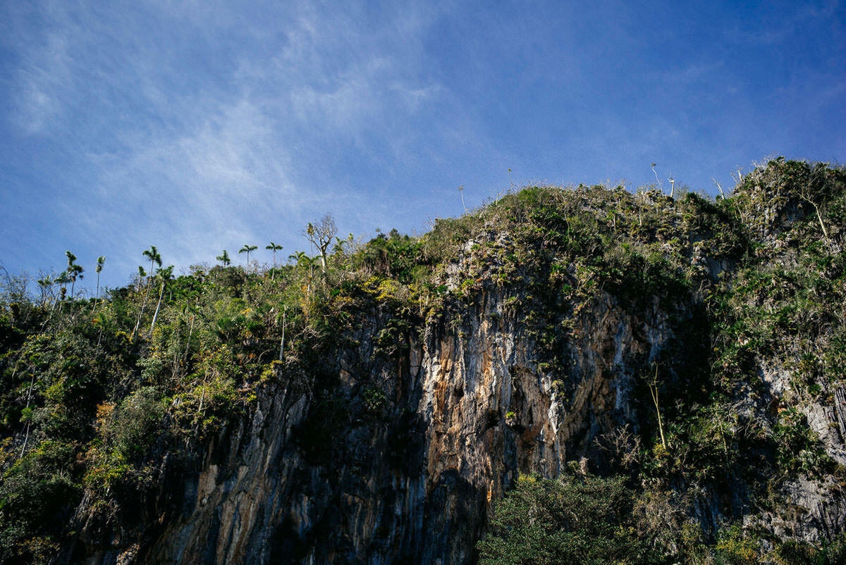 022 vinales tal kuba wanderung - Hiking through the Tobacco Fields in Viñales Valley 022 vinales tal kuba wanderung - Hiking through the Tobacco Fields in Viñales Valley