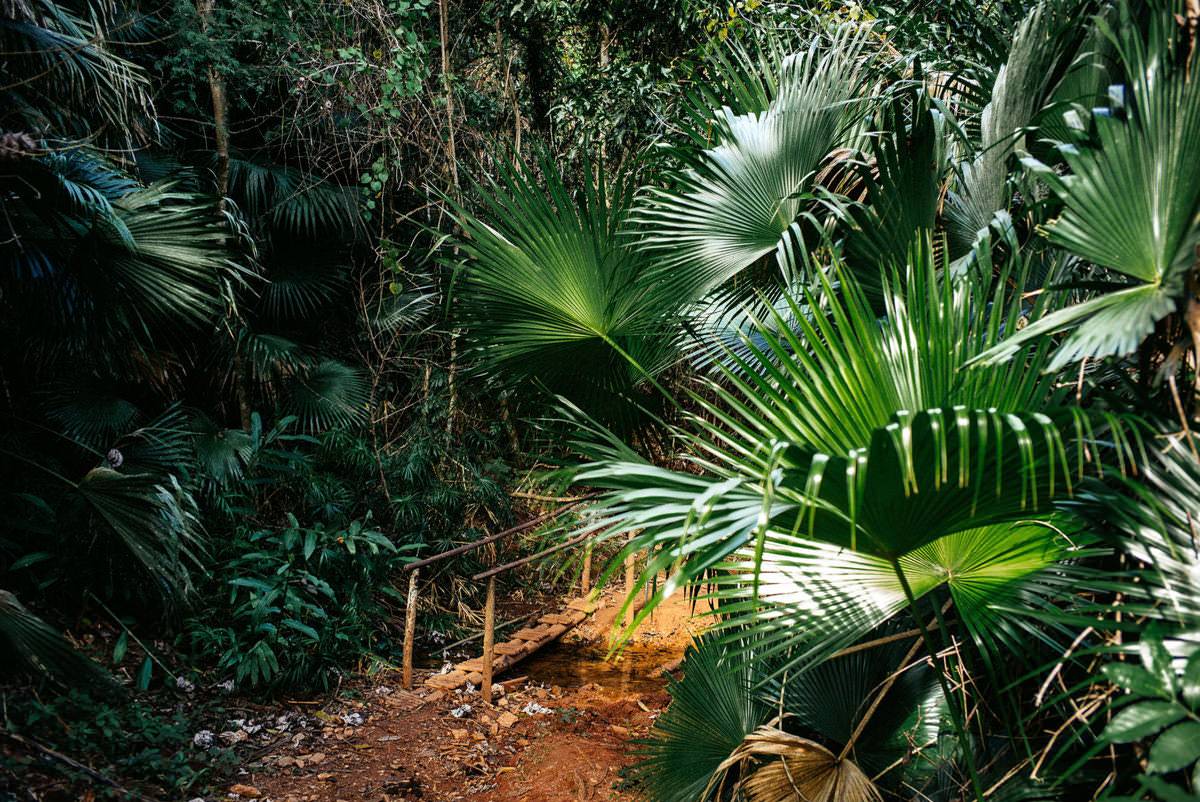 024 trinidad Parque Natural Topes de Collantes - From Trinidad to Salto del Caburní Waterfall (Topes de Collantes)