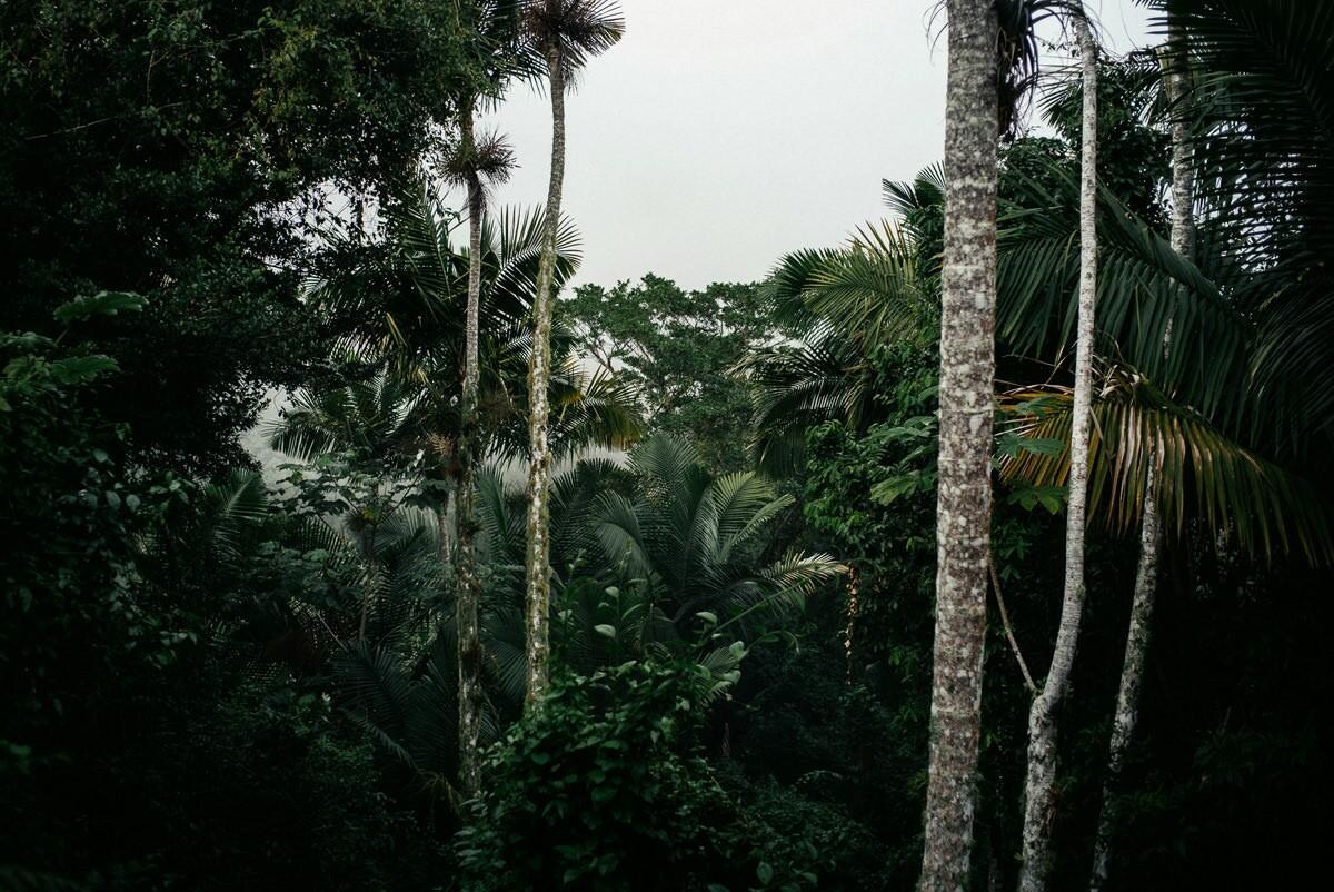 027 fidel castro versteck sierra maestra - Tracing Fidel Castro’s Path in the Sierra Maestra