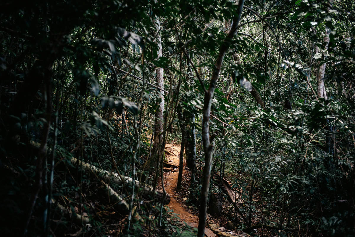 027 trinidad Parque Natural Topes de Collantes - From Trinidad to Salto del Caburní Waterfall (Topes de Collantes)