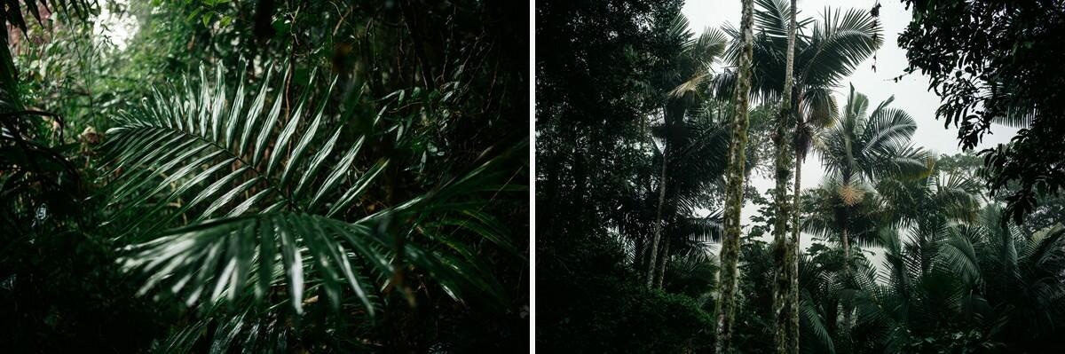 030 fidel castro versteck sierra maestra - Tracing Fidel Castro’s Path in the Sierra Maestra