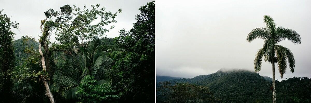 033 fidel castro versteck sierra maestra - Tracing Fidel Castro’s Path in the Sierra Maestra