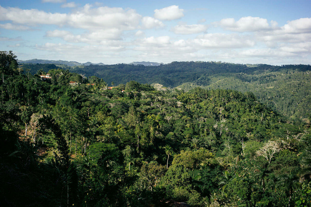 033 trinidad Parque Natural Topes de Collantes - From Trinidad to Salto del Caburní Waterfall (Topes de Collantes)