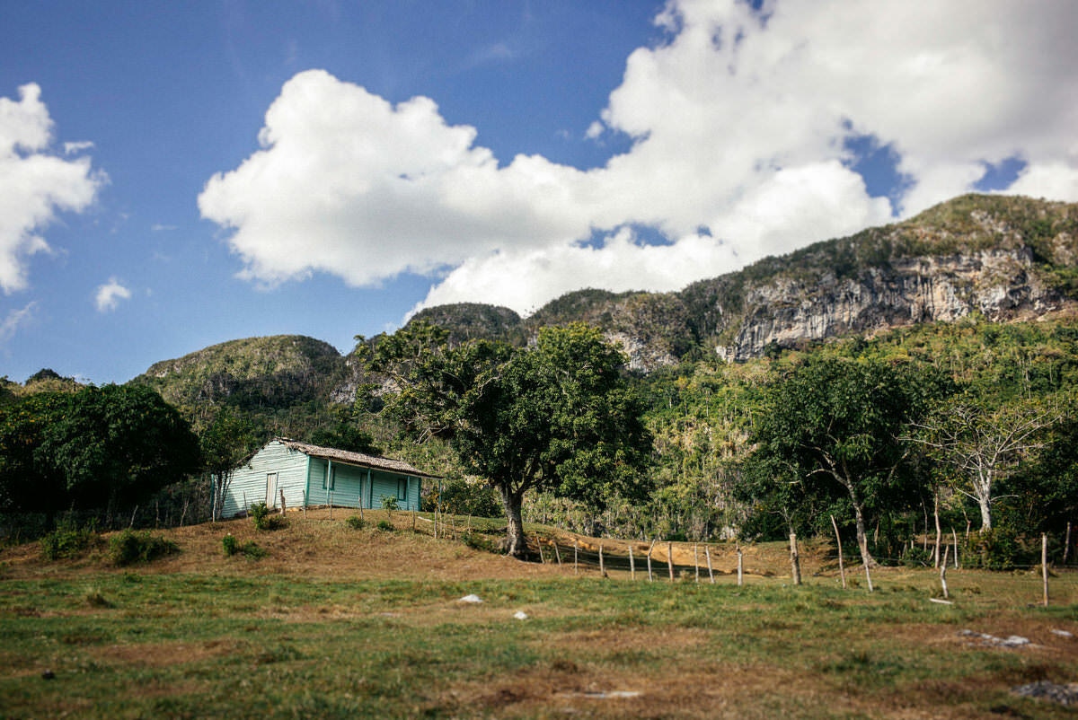 034 vinales tal kuba wanderung - Hiking through the Tobacco Fields in Viñales Valley 034 vinales tal kuba wanderung - Hiking through the Tobacco Fields in Viñales Valley