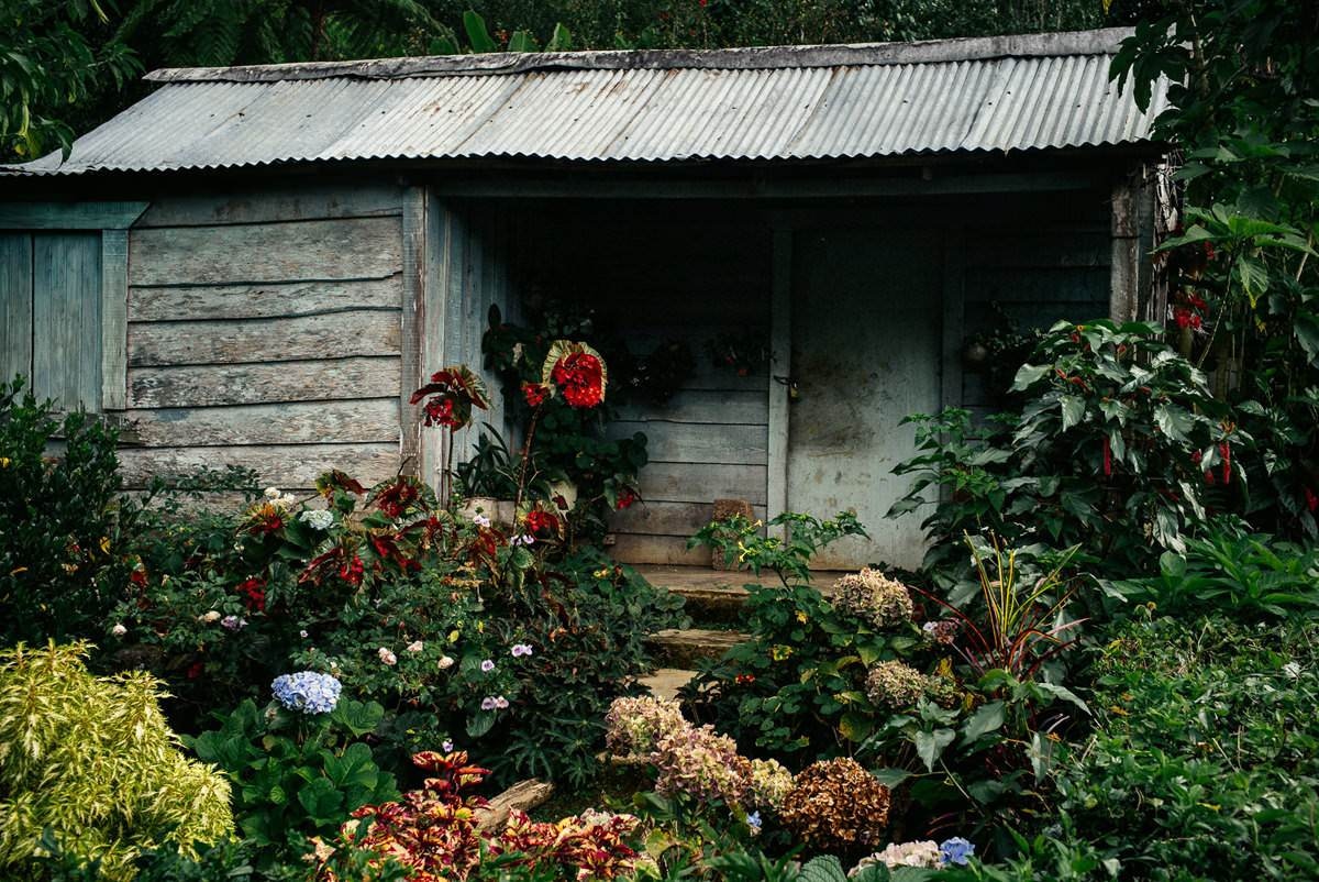 037 fidel castro versteck sierra maestra - Tracing Fidel Castro’s Path in the Sierra Maestra