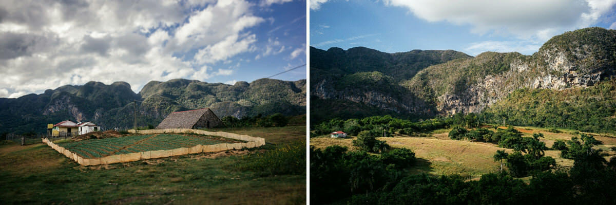 040 vinales tal kuba wanderung - Hiking through the Tobacco Fields in Viñales Valley 040 vinales tal kuba wanderung - Hiking through the Tobacco Fields in Viñales Valley