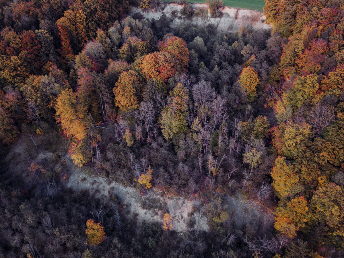 markdorf gehrenberg bodensee herbst 0008 - Luftaufnahmen vom Gehrenberg im Herbst