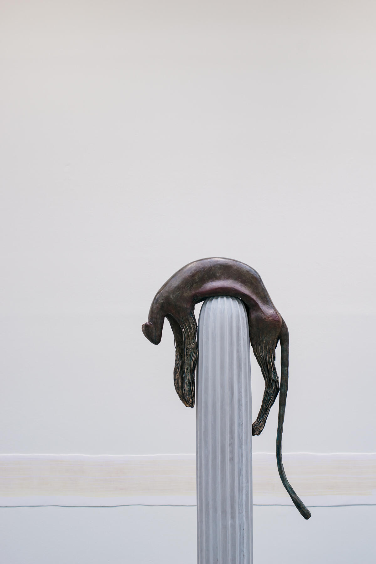 paris camille henrot palais du tokyo 0010 - Camille Henrot Exhibition at Palais de Tokyo (Paris) paris camille henrot palais du tokyo 0010 - Camille Henrot Exhibition at Palais de Tokyo (Paris)