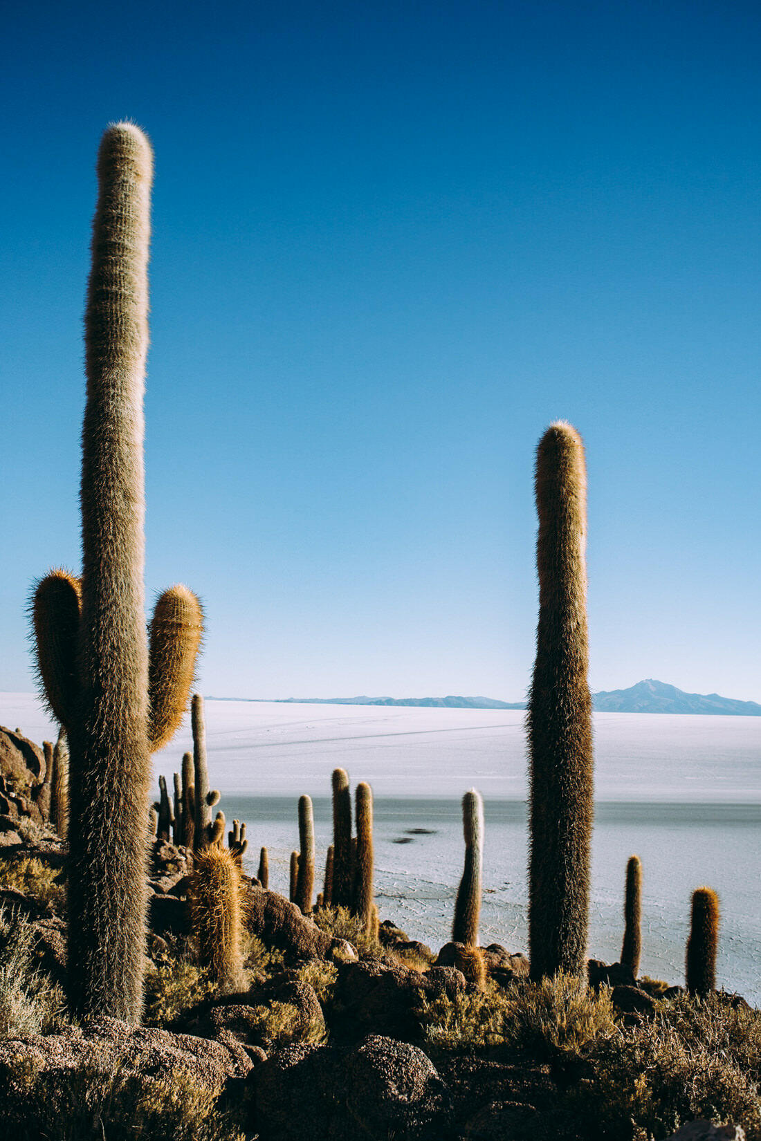020 salar de uyuni sunrise - Bolivia – Sunrise on the Salar de Uyuni