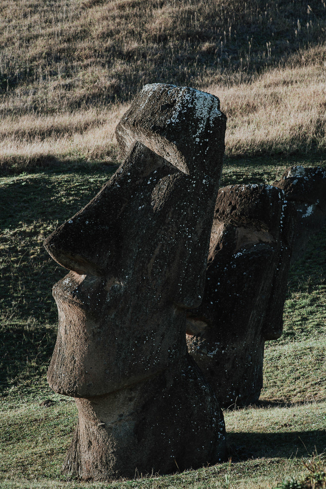 024 moai statue easter island - Easter Island (Rapa Nui) 024 moai statue easter island - Easter Island (Rapa Nui)