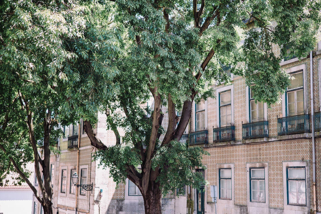 014 hochzeitsfotograf lissabon sehenswuerdigkeiten - Weekend in Lisbon