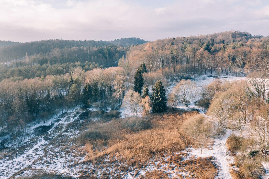 001 luftaufnahmen bodensee winterwald 1 - Winter Landscape from Above