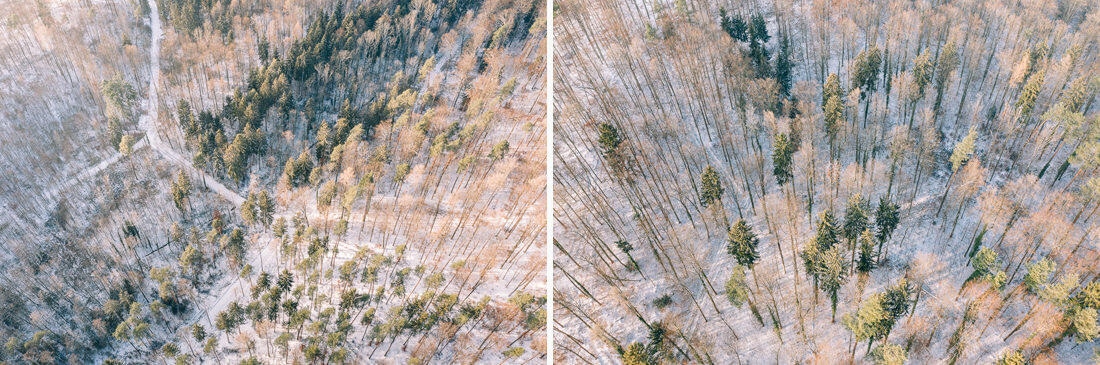 002 luftaufnahmen bodensee winterwald 1 - Winter Landscape from Above