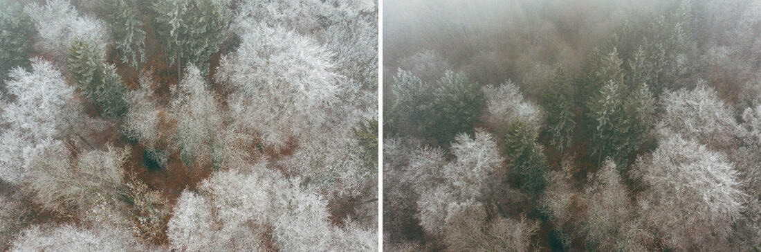 005 luftaufnahmen bodensee gefrorener wald 1 - Frozen Forest near Stein am Rhein 005 luftaufnahmen bodensee gefrorener wald 1 - Frozen Forest near Stein am Rhein
