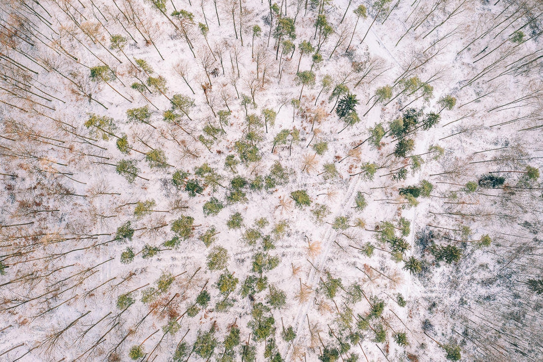005 luftaufnahmen bodensee winterwald 1 - Winter Landscape from Above