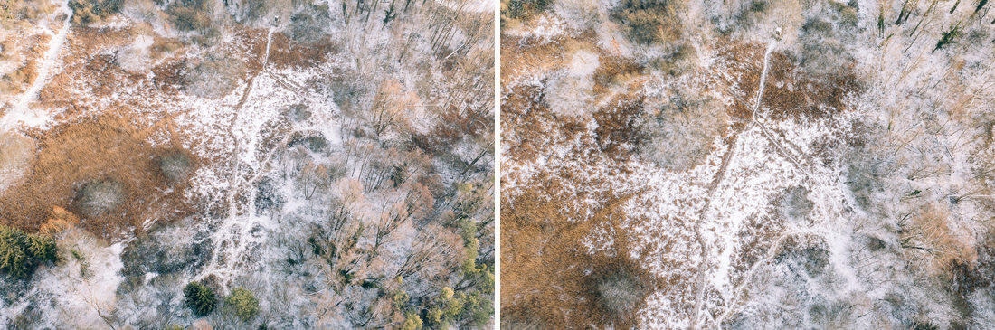 006 luftaufnahmen bodensee winterwald 1 - Winter Landscape from Above