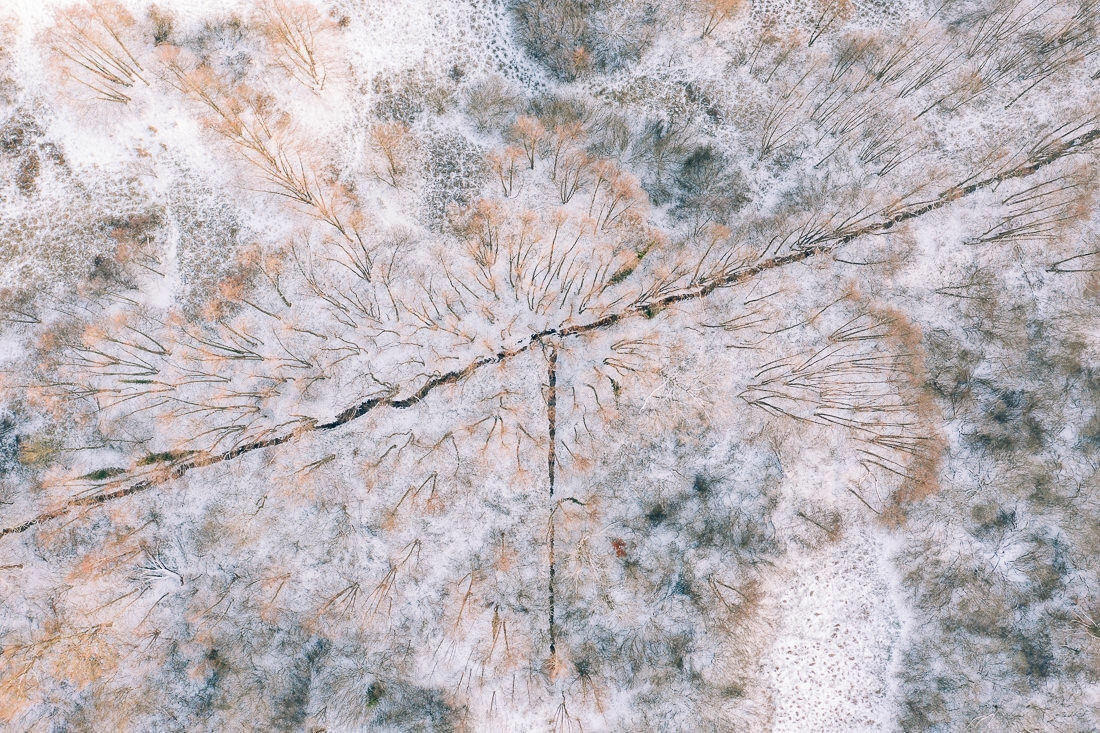 007 luftaufnahmen bodensee winterwald 1 - Winter Landscape from Above