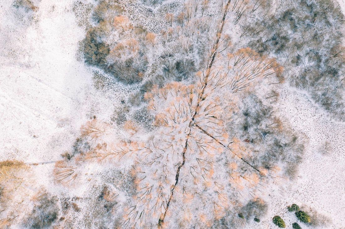008 luftaufnahmen bodensee winterwald 1 - Winter Landscape from Above