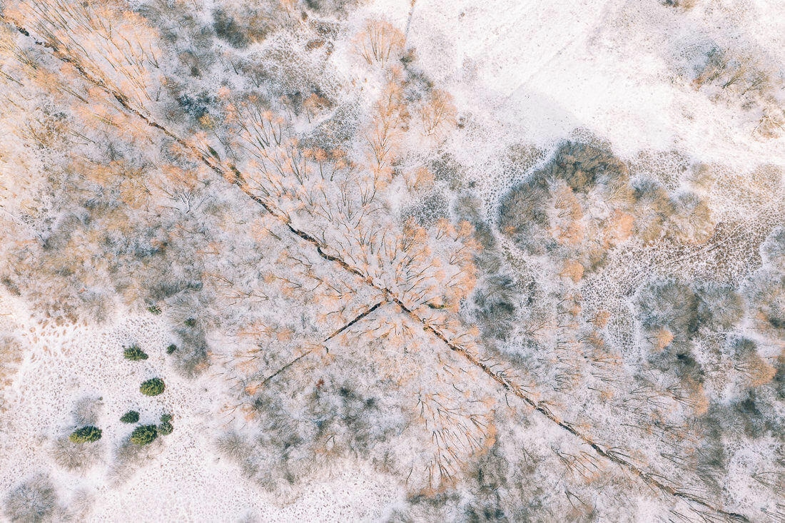 009 luftaufnahmen bodensee winterwald 1 - Winter Landscape from Above