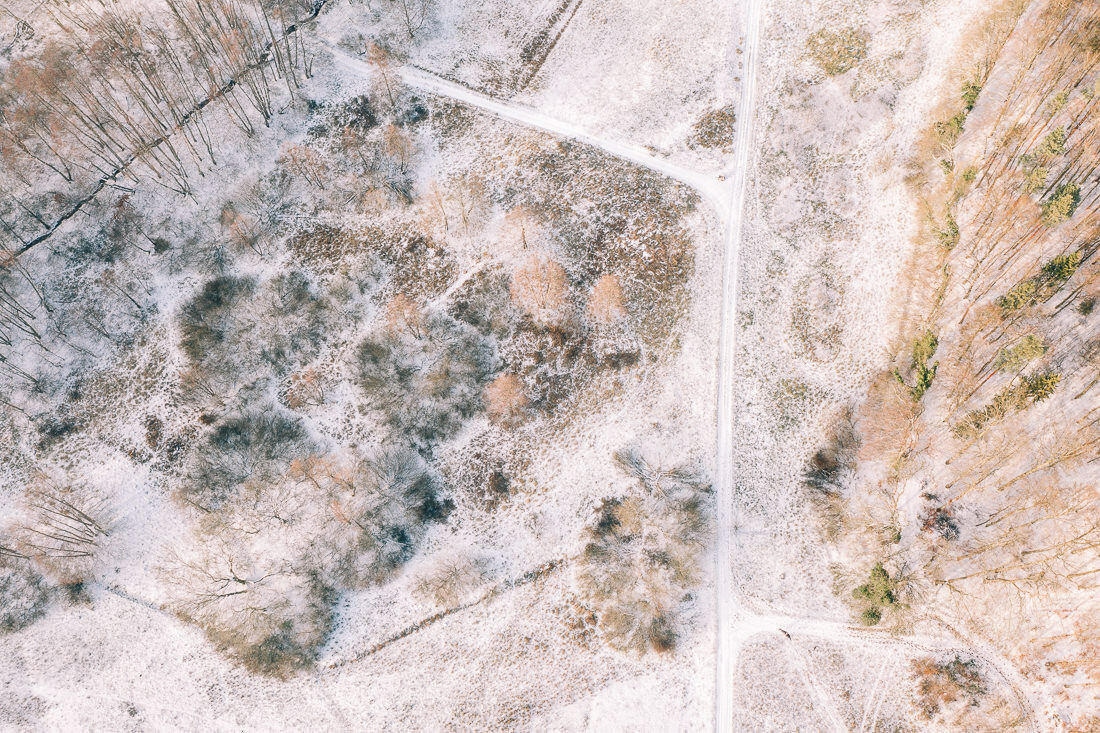 010 luftaufnahmen bodensee winterwald 1 - Winter Landscape from Above
