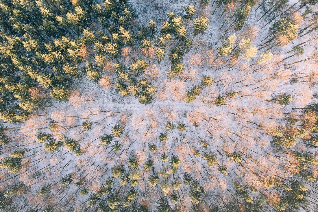 013 luftaufnahmen bodensee winterwald 1 - Winter Landscape from Above