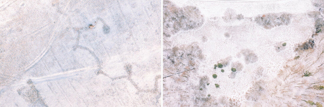 015 luftaufnahmen bodensee winterwald 1 - Winter Landscape from Above