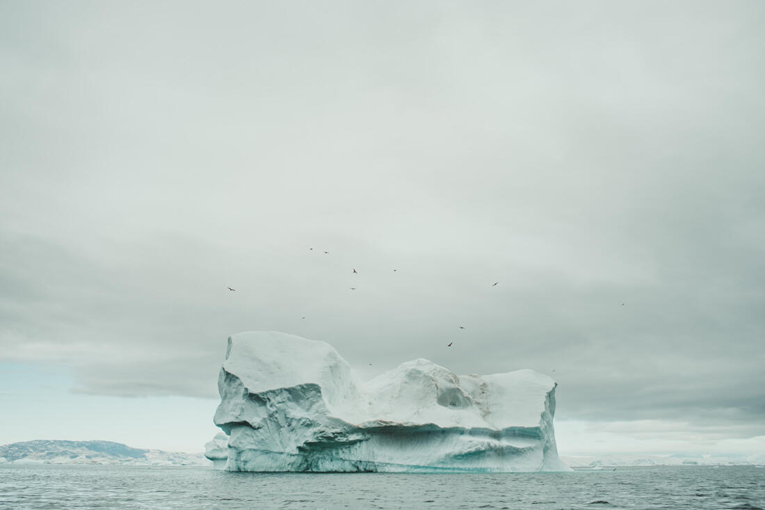 101 greenland aurora artica sailing expedition - Sailing Expedition in East Greenland 3/3 101 greenland aurora artica sailing expedition - Sailing Expedition in East Greenland 3/3
