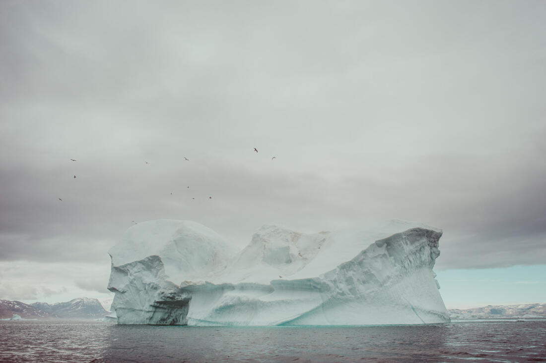 102 greenland aurora artica sailing expedition - Sailing Expedition in East Greenland 3/3 102 greenland aurora artica sailing expedition - Sailing Expedition in East Greenland 3/3