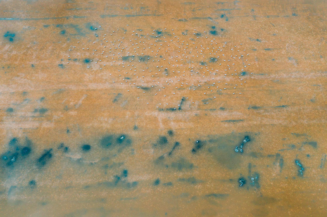 007 saltfields huelva algarve drone areal - Colors & Structures of the Salt Fields