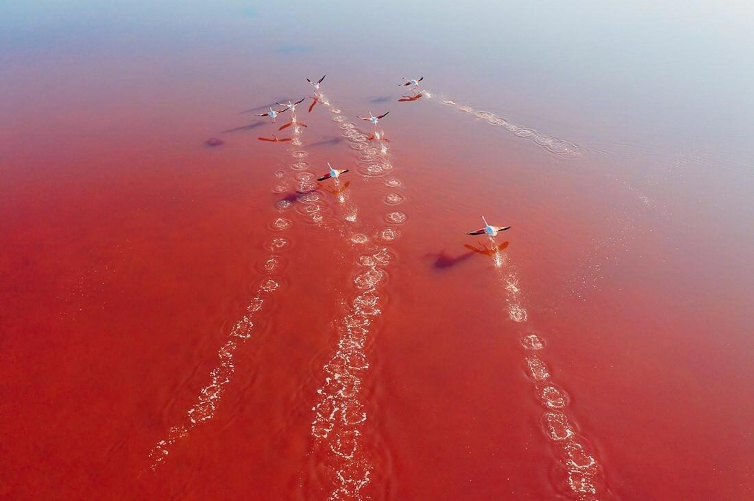 Colors & Structures of the Salt Fields