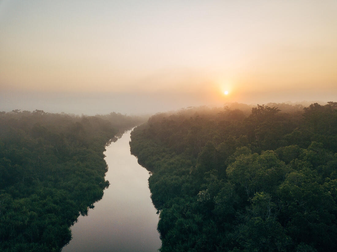 001 Borneo Orangutan Pangkalan Bun - Borneo – Orangutans in Tanjung Puting National Park