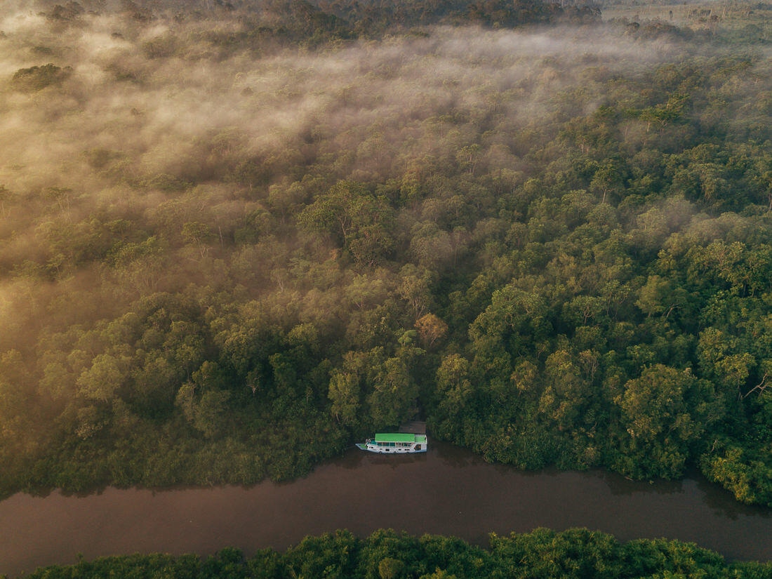 006 Borneo Orangutan Pangkalan Bun - Borneo – Orangutans in Tanjung Puting National Park